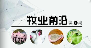 2019-01