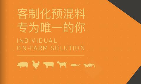 源自欧洲-普丹美新闻发布会