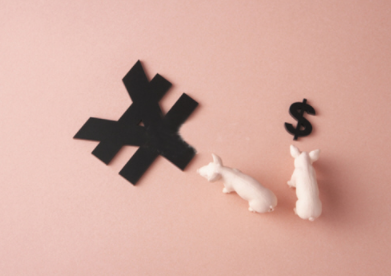 2021年2月8日全国生猪价格