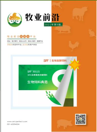 提高抗菌治疗的疗效
