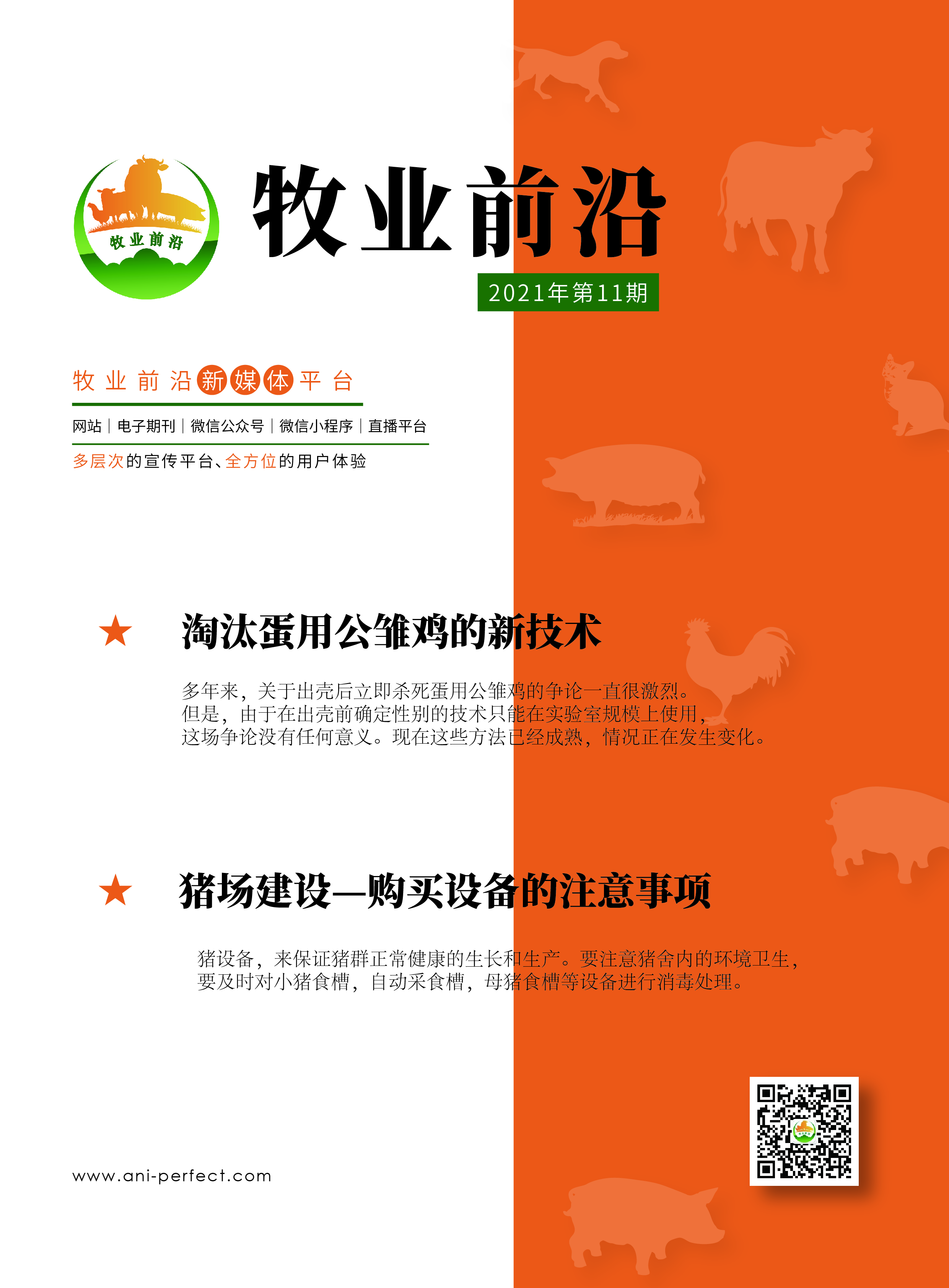 淘汰蛋用公雏鸡的新技术