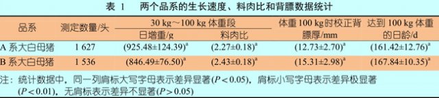 两个不同品系大白猪的生产性能对比