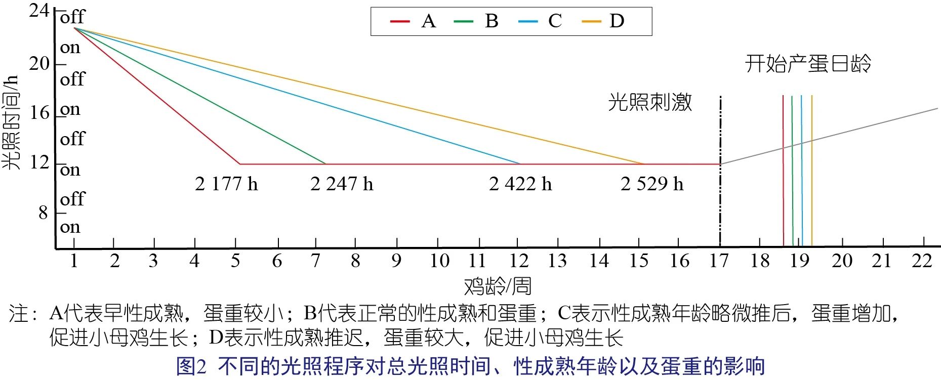 four pillars(蔡霞)-2.jpg