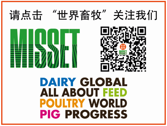 从公猪到母猪，如何运送精液