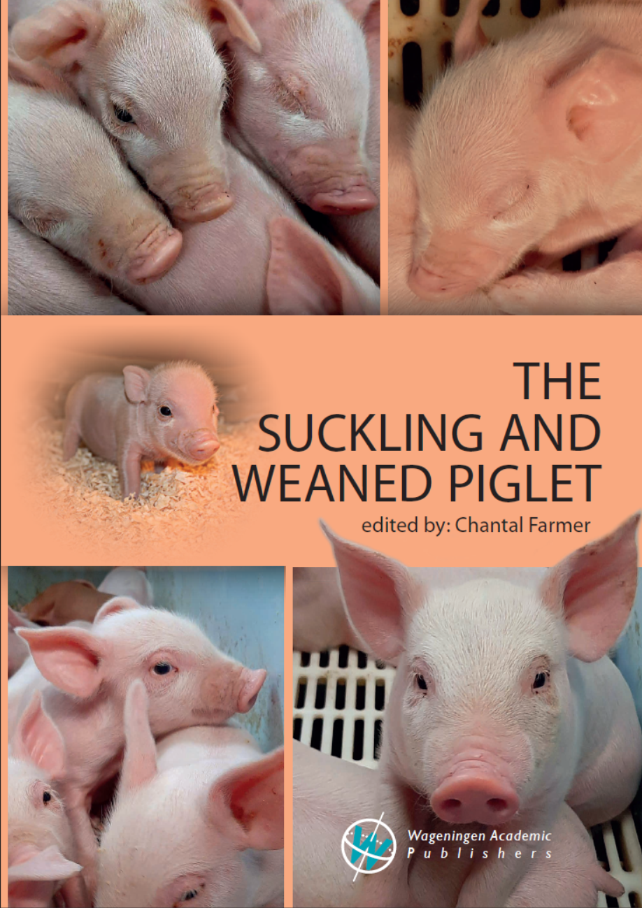 Suckling and weaned piglet.png