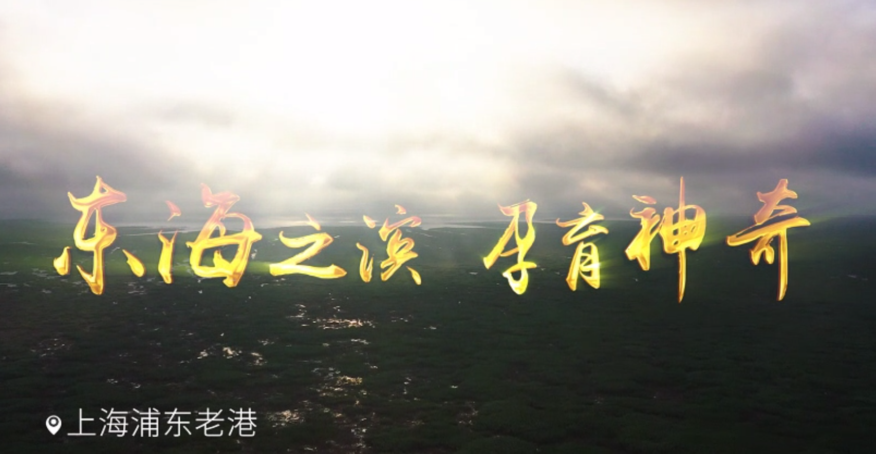【宣传片】上海祥欣畜禽有限公司