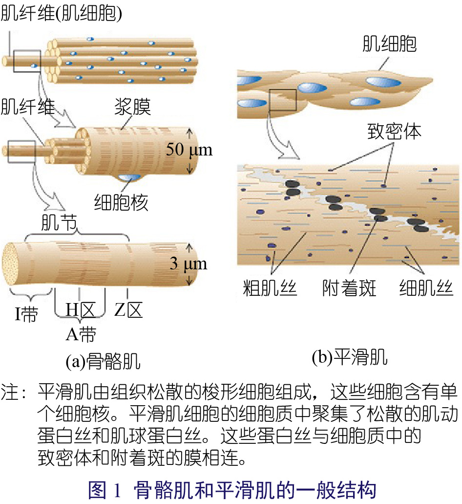 猪营养-01.jpg