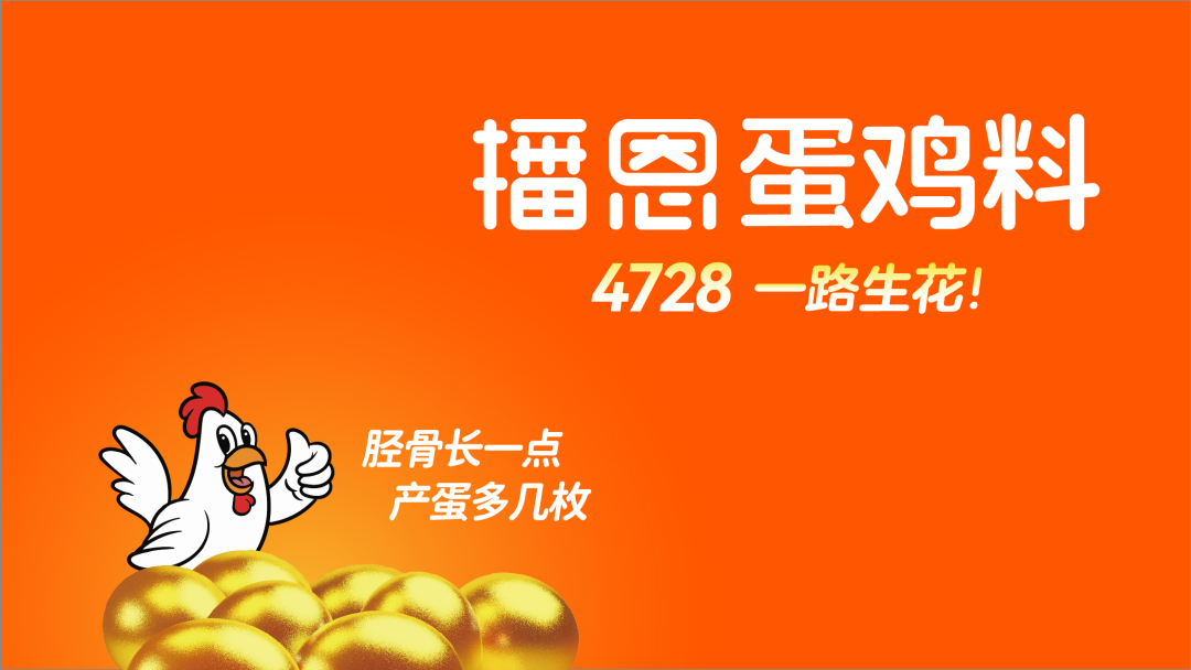 003蛋鸡料.png