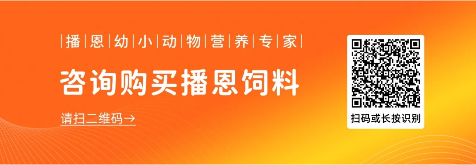 饲料.jpg