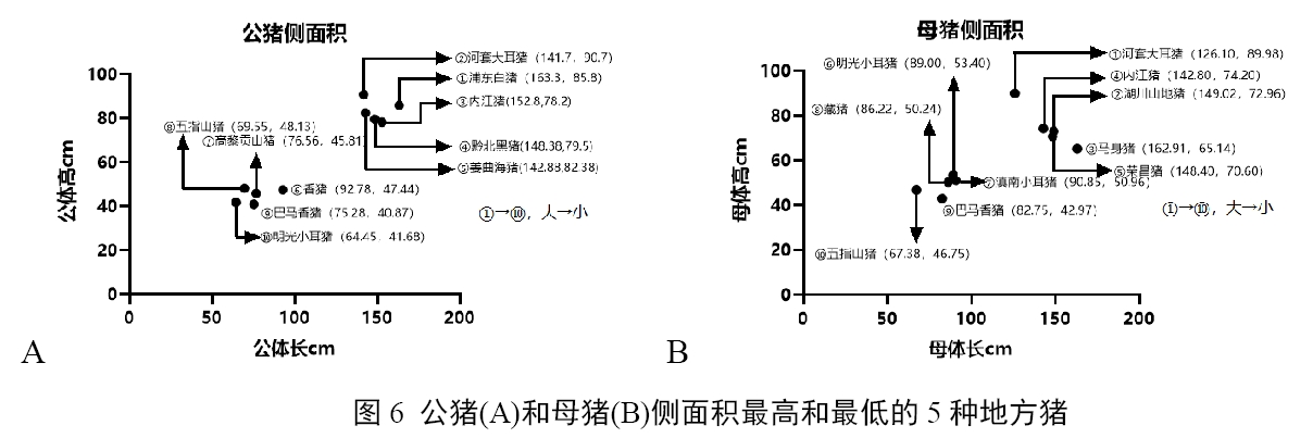 吴卓穗-6.jpg