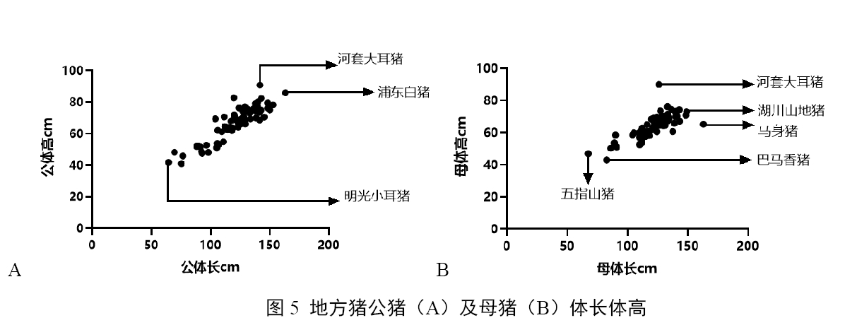 吴卓穗-5.jpg