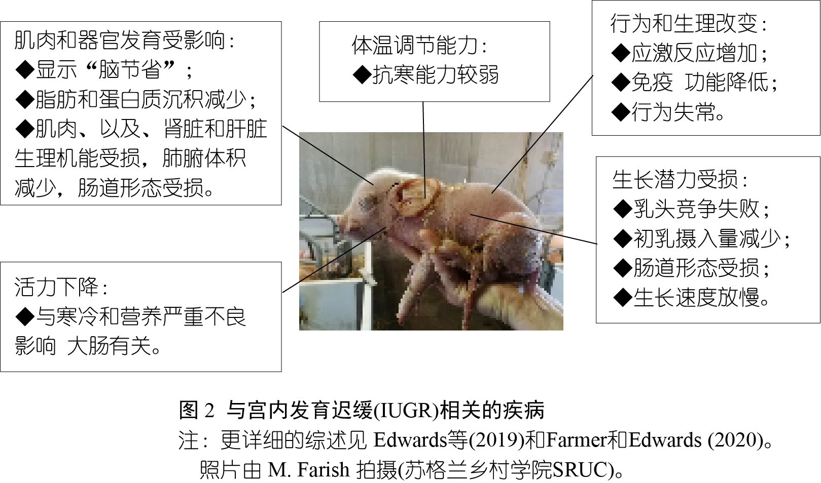 图3-2.jpg