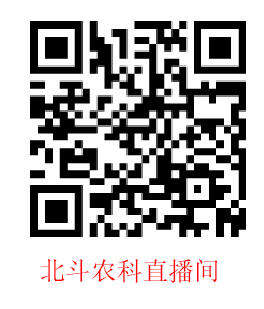 直播间.jpg
