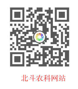 网站.jpg