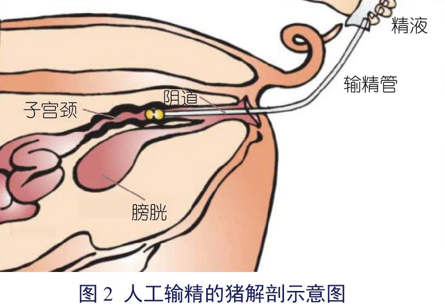 播恩20.11-02.jpg