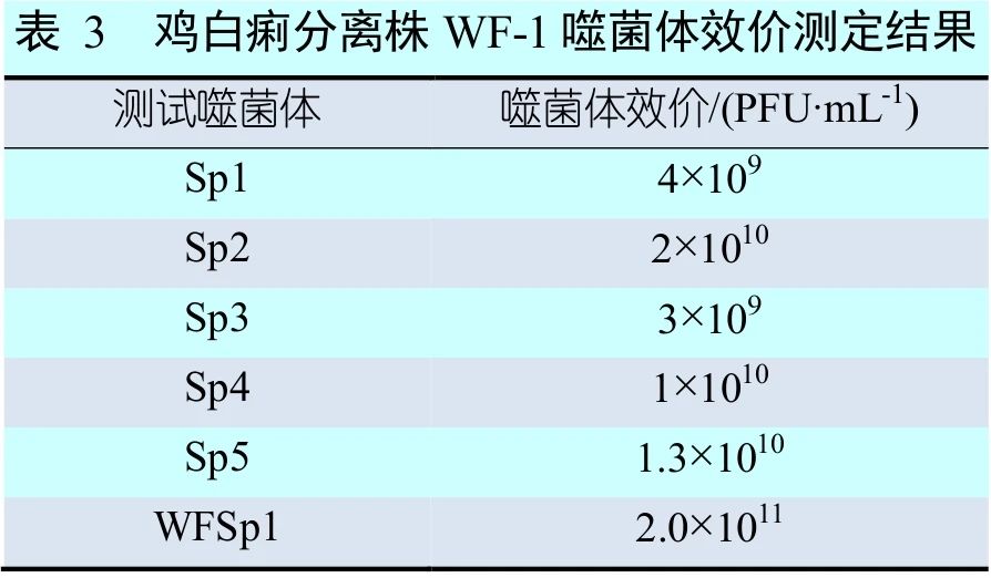 张玲-表3.jpg