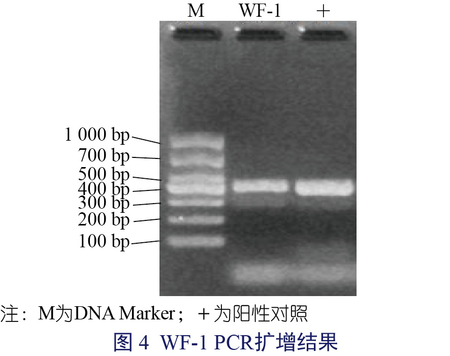 张玲-04.jpg