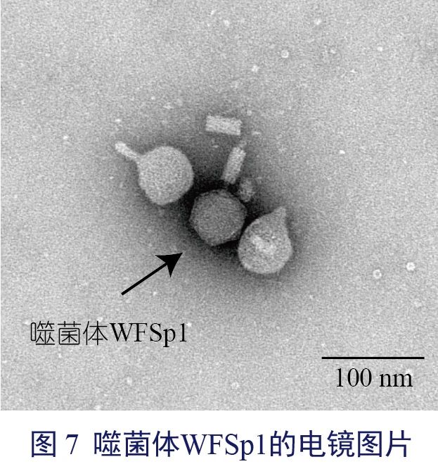 张玲-07.jpg