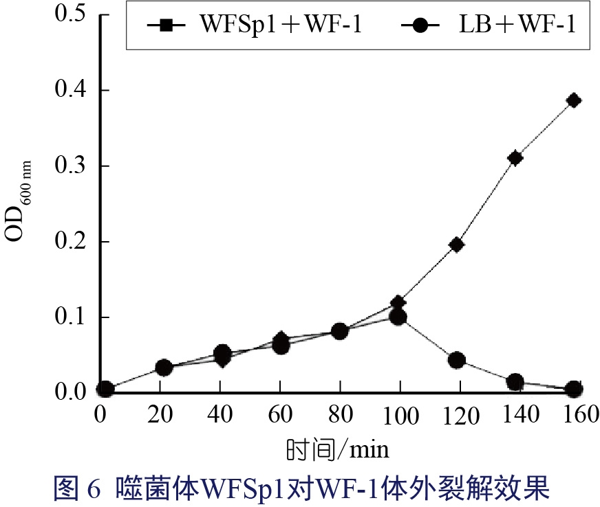 张玲-06.jpg
