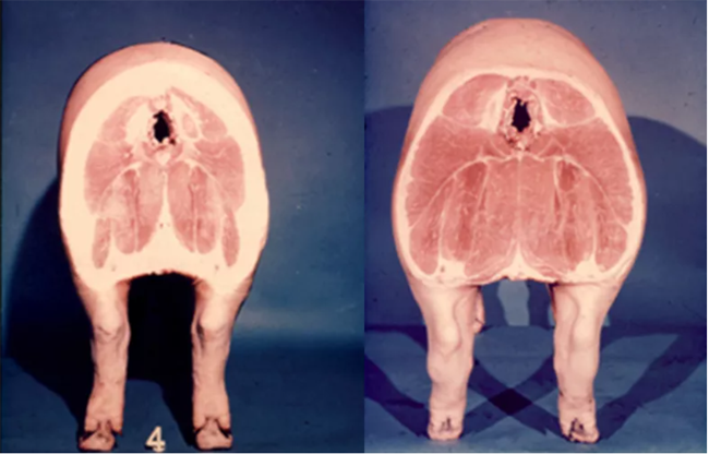 王立贤-06 副本.png