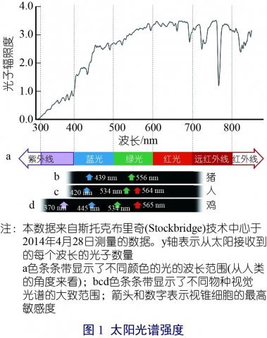 【猪舍光照原则专栏一】光和照明
