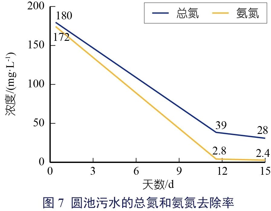 姜红菊-08.jpg