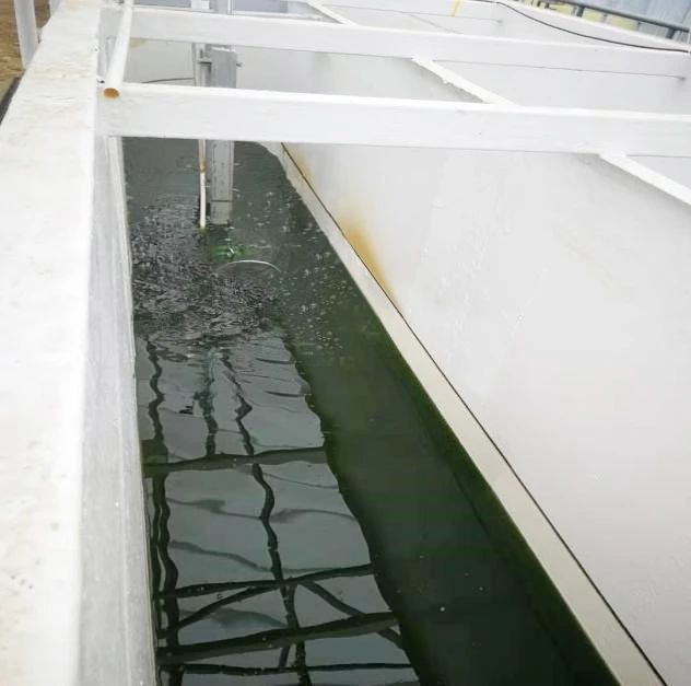 姜红菊-10.jpg