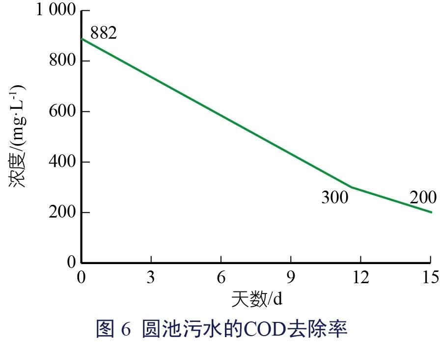 姜红菊-07.jpg