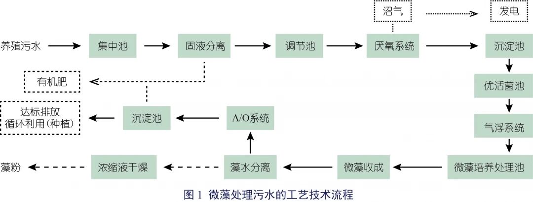 姜红菊-01.jpg