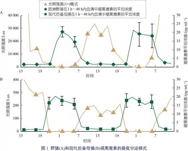 【猪舍光照原则第二季专栏二】不同光照因素